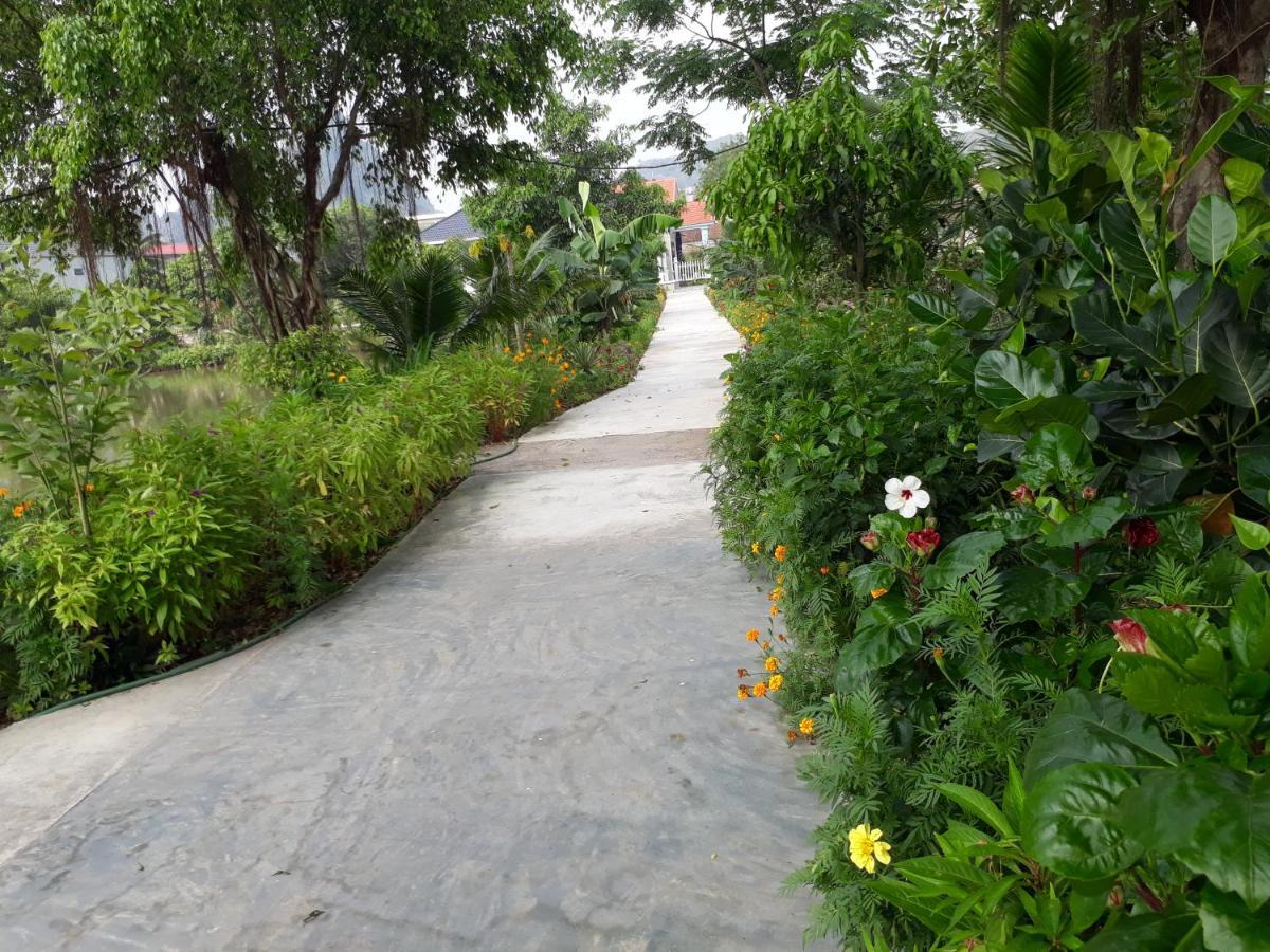 Tuyet'S Homestay Ninh Binh Esterno foto