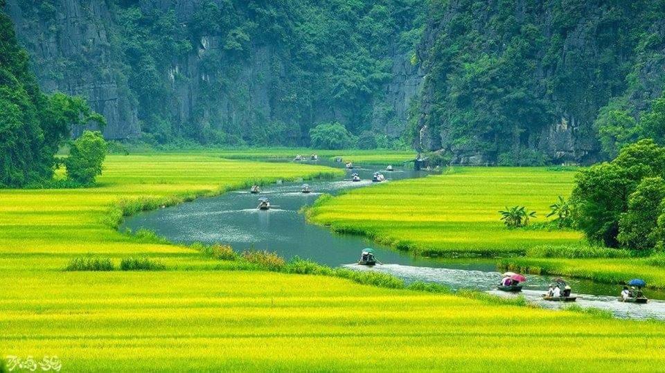 Tuyet'S Homestay Ninh Binh Esterno foto