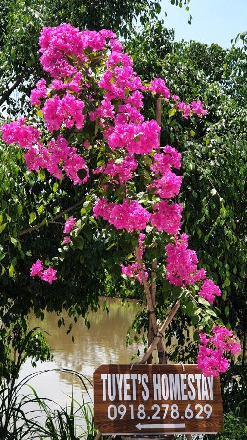 Tuyet'S Homestay Ninh Binh Esterno foto