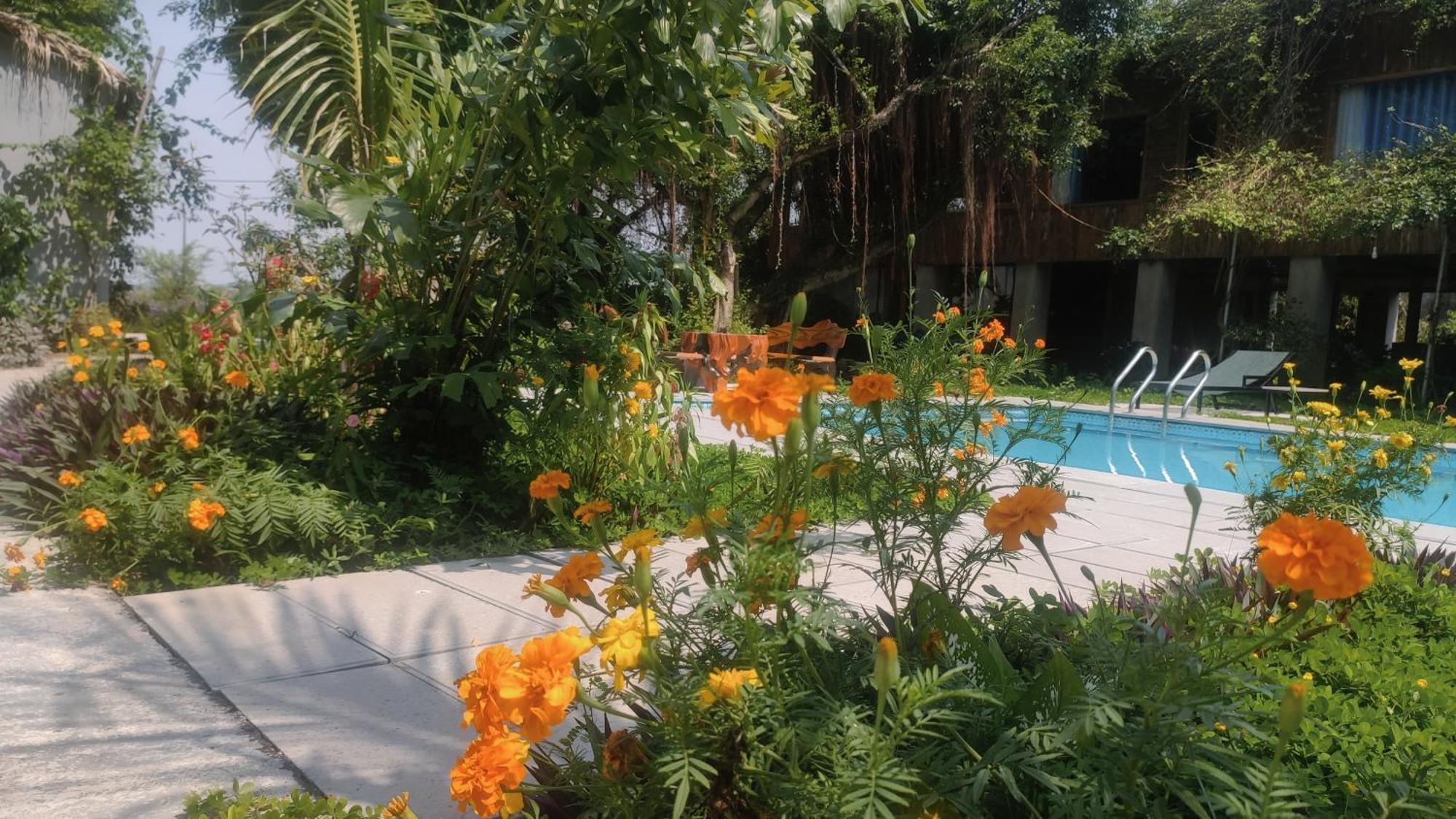 Tuyet'S Homestay Ninh Binh Esterno foto